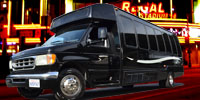 20 Passenger Party Bus Rental in Los Angeles